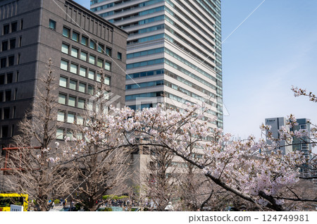 東京都千代田區九段町櫻花盛開 124749981