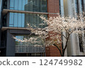 東京都千代田區九段町櫻花盛開 124749982