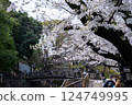 東京北區王子町櫻花盛開 124749995