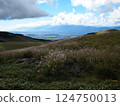 Japanese silver grass on Fujimidai 124750013