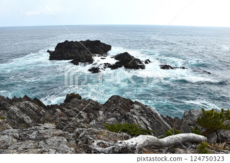 Kesennuma Karakuwa Peninsula: Eight boats towed 124750323