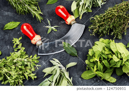 Mix of herbs. 124750931