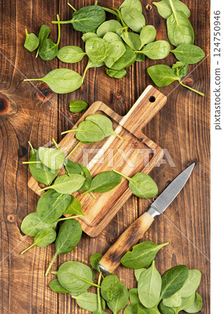 A bunch of spinach leaves. A bunch of spinach leaves. 124750946