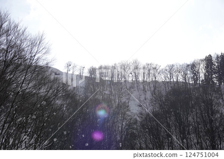 雪山脊,樹木的輪廓 雪山脊,樹木的輪廓 124751004