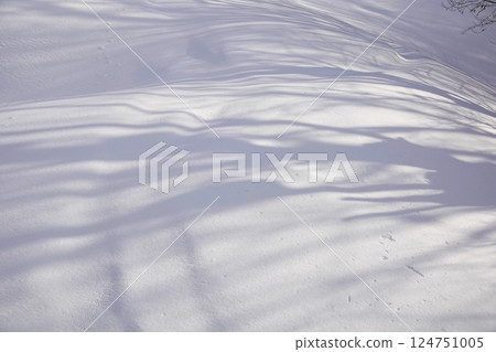 新雪原上倒映的樹影 新雪原上倒映的樹影 124751005