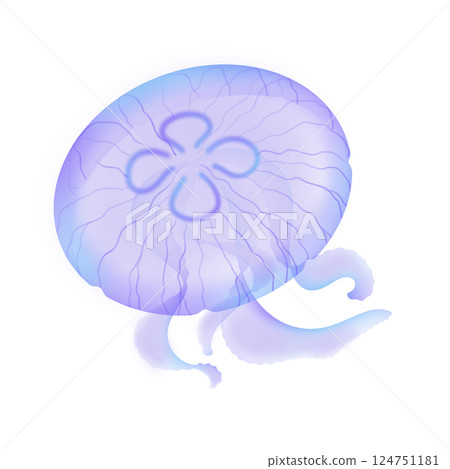 月亮水母_紫色 月亮水母_紫色 124751181