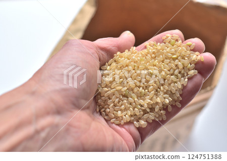 Brown rice in a bag 124751388