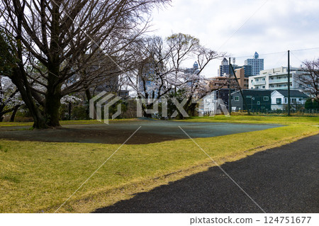 埼玉縣所澤市航空公園青少年運動場的櫻花 埼玉縣所澤市航空公園青少年運動場的櫻花 124751677