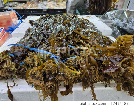 Korean seafood market. Fresh seaweed. Korean seafood market. Fresh seaweed. 124751853