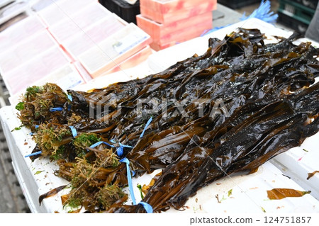 Korean seafood market. Fresh seaweed. Korean seafood market. Fresh seaweed. 124751857