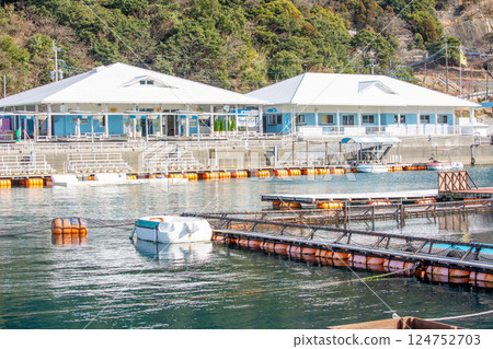 Tsukui海豚島 Tsukui海豚島 124752703