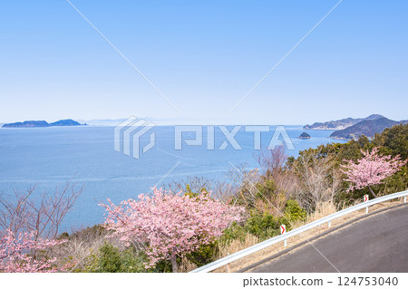 Kawazu cherry blossoms on the Oura Peninsula and the islands of Hoto and Muku Kawazu cherry blossoms on the Oura Peninsula and the islands of Hoto and Muku 124753040