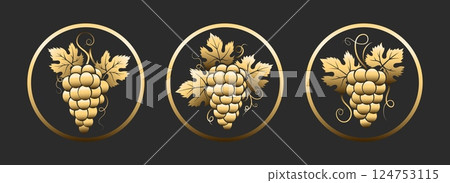 Vintage golden grapes emblem set 124753115