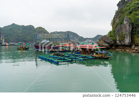 Picturesque view captures a fishing village in Ha Long Bay, Vietnam with boats. Picturesque view captures a fishing village in Ha Long Bay, Vietnam with boats. 124753446