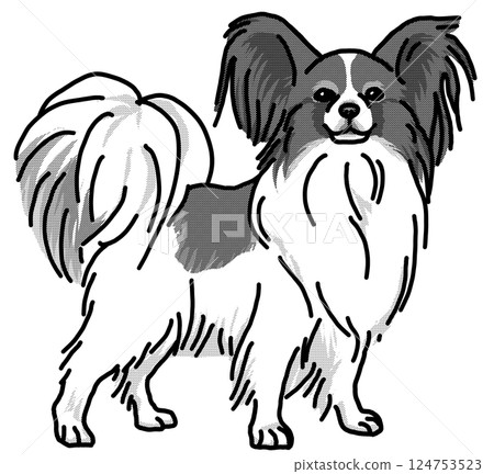 Papillon simple dog illustration 124753523