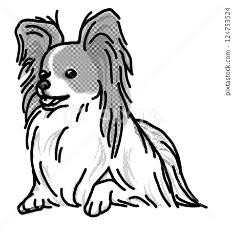 Papillon simple dog illustration 124753524