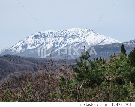 Spring 2025 at Mt. Daisen seen from the Inland Sea 124753701