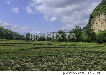 Vietnam, Hoa Binh Province, Mai Chau Valley 124753940