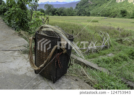 Vietnam, Hoa Binh Province, Mai Chau Valley, basket for carrying rice plants on one's back Vietnam, Hoa Binh Province, Mai Chau Valley, basket for carrying rice plants on one's back 124753943