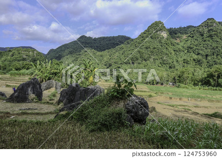 Vietnam, Hoa Binh Province, Mai Chau Valley 124753960