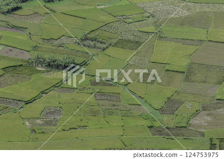 Vietnam, Hoa Binh Province, Mai Chau Valley 124753975