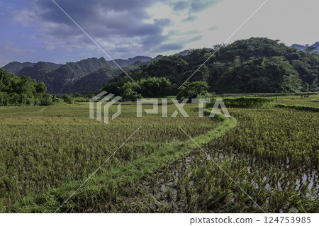 Vietnam, Hoa Binh Province, Mai Chau Valley Vietnam, Hoa Binh Province, Mai Chau Valley 124753985