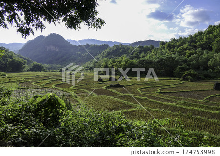 Vietnam, Hoa Binh Province, Mai Chau Valley 124753998