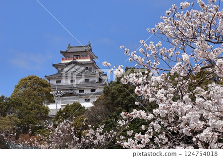 Karatsu Castle and cherry blossoms in Karatsu City, Saga Prefecture 124754018