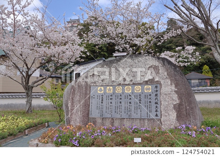 佐賀縣唐津市的唐津城和櫻花 佐賀縣唐津市的唐津城和櫻花 124754021
