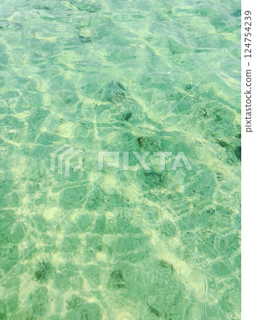 透明的大海 124754239