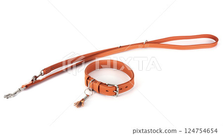 leather leash in studio 124754654