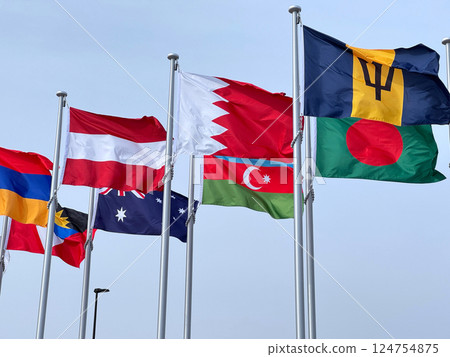 Image of the flag of the world 124754875