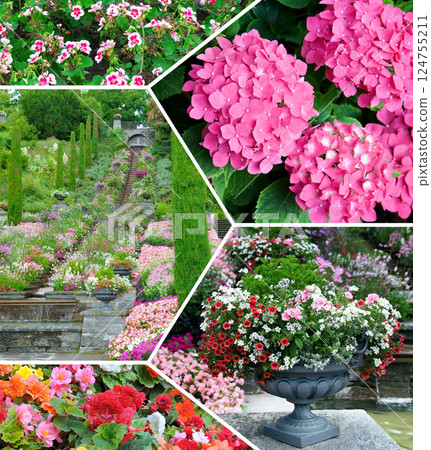 Colorful collage of flowers and garden. 124755211