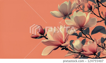 Magnolia Flowers Blooming Against a Soft Coral Background During Spring in a Garden 124755487