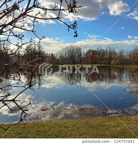 Tranquil lake scene with clear blue sky reflecting on calm waters, leafless branches in foreground. Peaceful nature landscape with sparse trees and grass 124755881