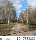 Serenity of a winding dirt path through a birch tree grove. White bark contrasts with brown branches, ground covered in leaves under blue sky 124755883