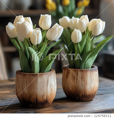 Elegant White Tulips in Wooden Pots Enhance Home Decor During Springtime Elegant White Tulips in Wooden Pots Enhance Home Decor During Springtime 124756511