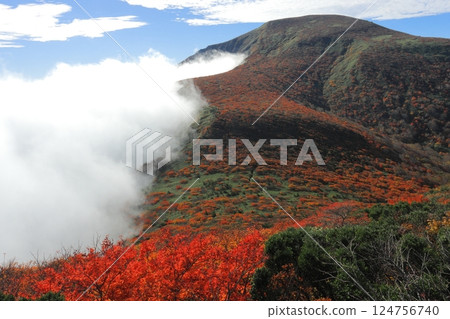 Autumn leaves on Mt. Minowa 124756740