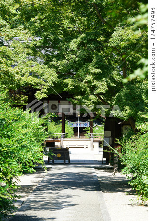 The approach surrounded by fresh greenery 124757493