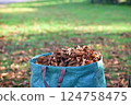 brown autumn leaves in a green bag in the foreground 124758475