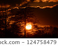 Beautyful dramatic sunset with trees in the foreground 124758479