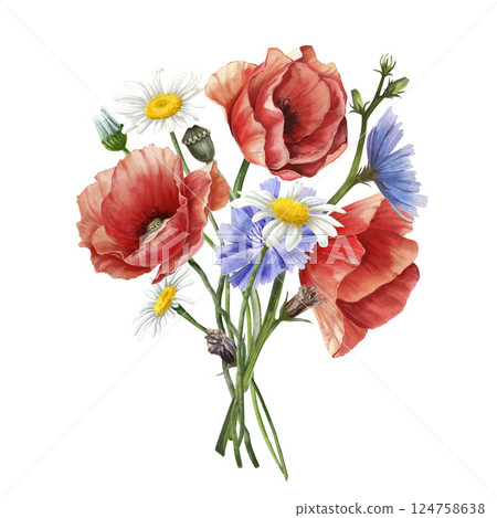 Bouquet with wild flowers in bloom. Poppy, chicory, daisy composition. Floral vintage watercolor illustration isolated on white background. Decoration for poster, greeting card, wedding design Bouquet with wild flowers in bloom. Poppy, chicory, daisy composition. Floral vintage watercolor illustration isolated on white background. Decoration for poster, greeting card, wedding design 124758638