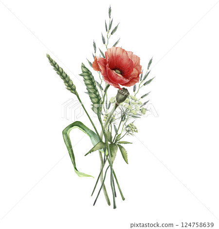 Bouquet with wild flowers and leaves. Poppy, cereal plant, grass composition. Floral vintage watercolor illustration isolated on white background. Decoration for poster, greeting card, wedding design 124758639