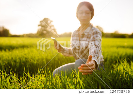 Technology of modern agriculture. Harvesting. Concept of ecology, gardening. 124758736