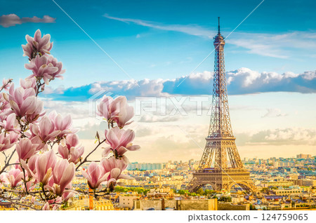 eiffel tour and Paris cityscape 124759065