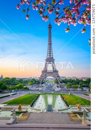 eiffel tour and from Trocadero, Paris 124759073