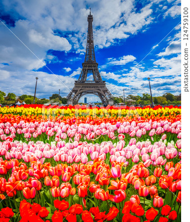 eiffel tour and from Trocadero, Paris 124759100