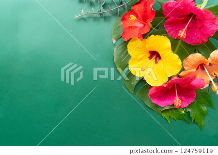 Tropical flowers and leaves, summer vacational background Tropical flowers and leaves, summer vacational background 124759119