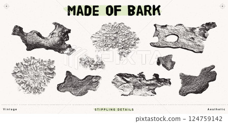 Vintage-Inspired Stipple Illustration of Lichens and Bark Pieces, Vintage-Inspired Stipple Illustration of Lichens and Bark Pieces, 124759142
