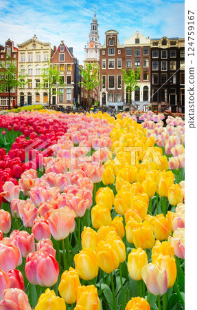 Houses of Amstardam, Netherlands 124759167